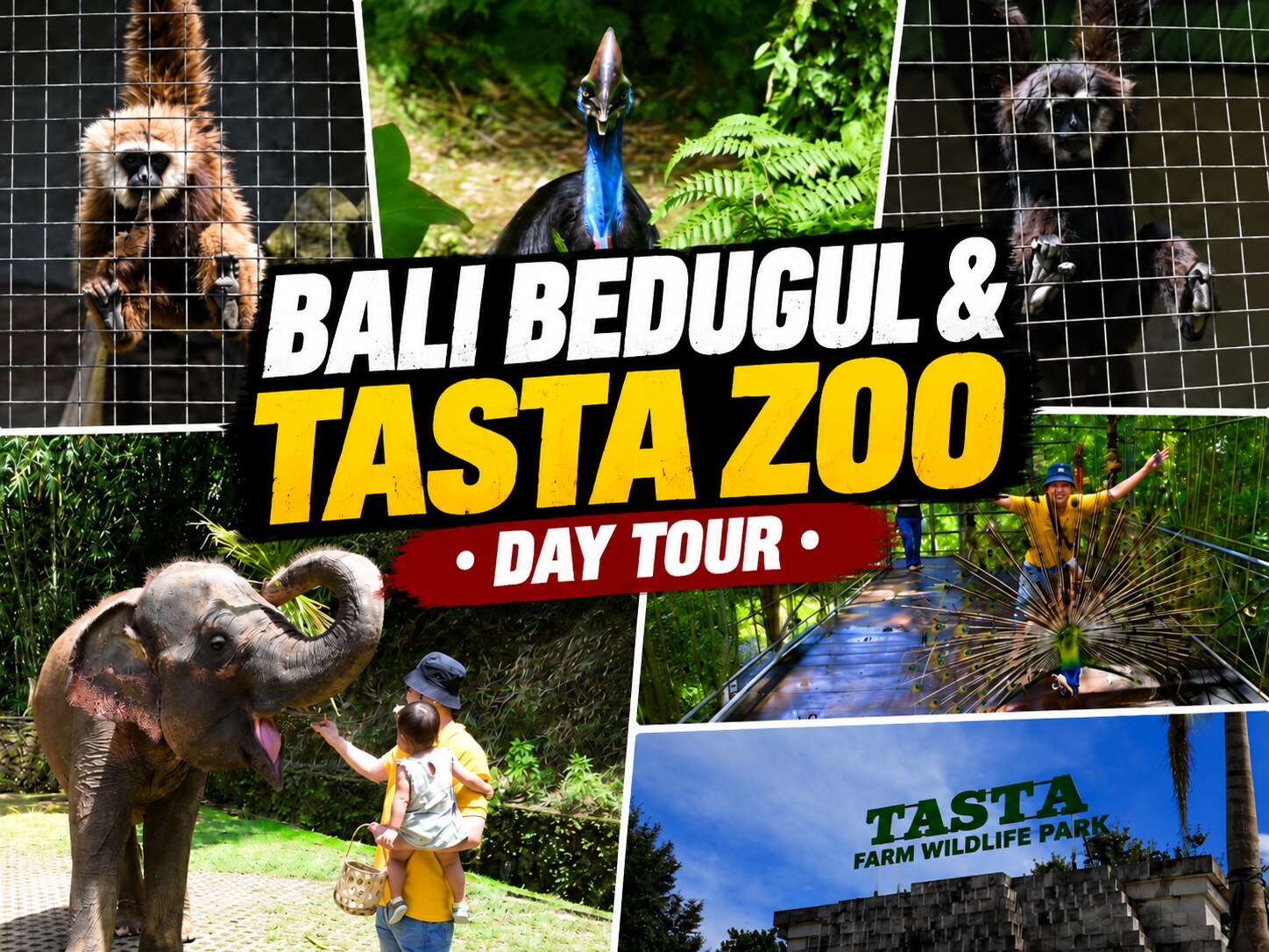 Bedugul & Tasta Zoo Family Tour