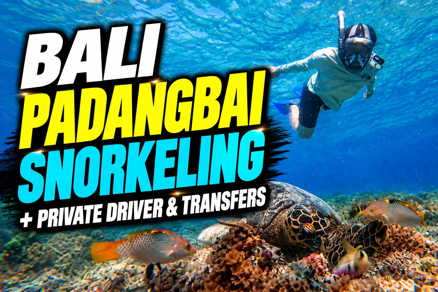 Blue Lagoon Snorkeling with Private Transfers