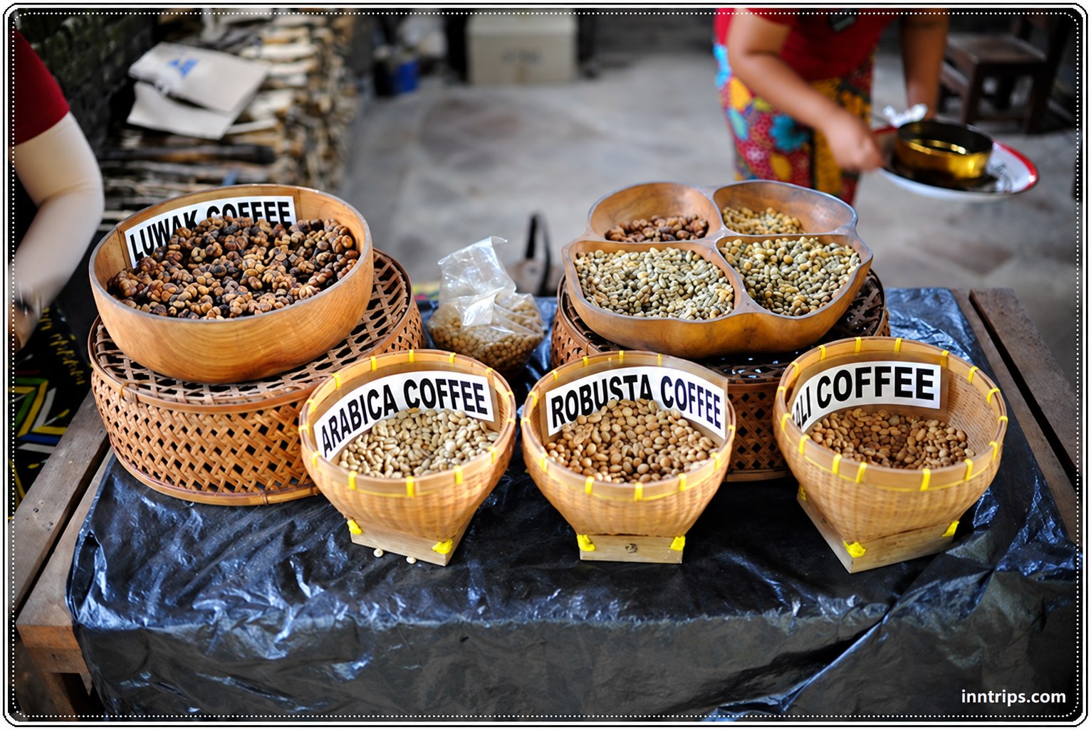 Coffee beans at the Bali tasting stop