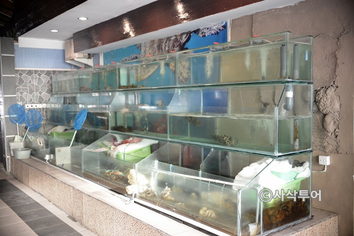 Live seafood tanks