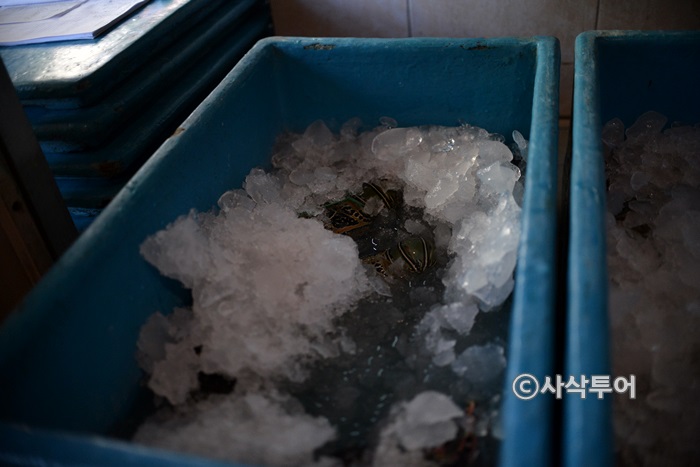Seafood on ice