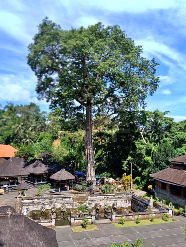Goa Gajah — Elephant Cave — views and visitor photographs 13