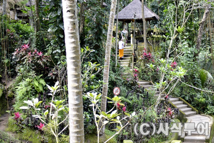 Goa Gajah — Elephant Cave — views and visitor photographs 31