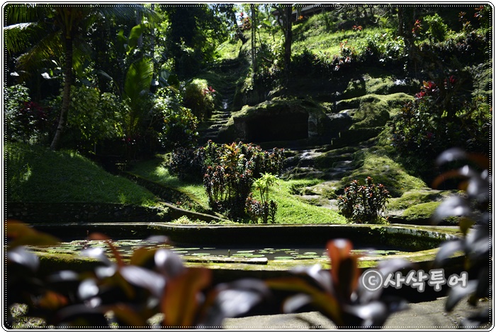 Goa Gajah — Elephant Cave — views and visitor photographs 38