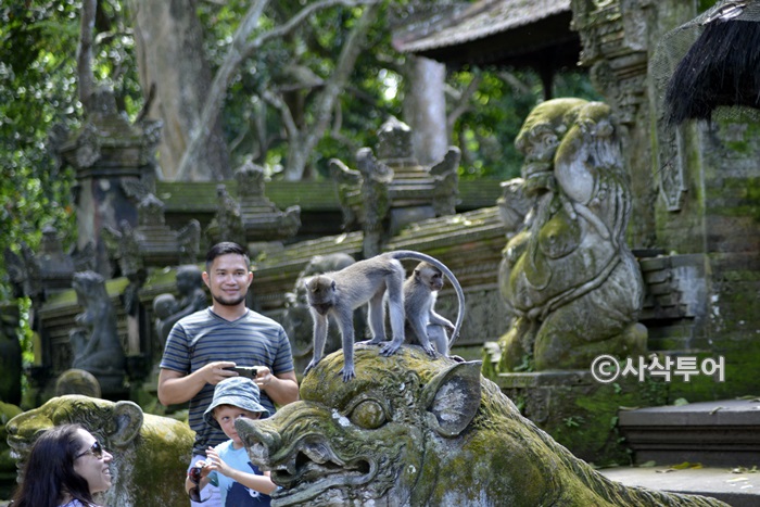 Sacred Monkey Forest Sanctuary — views and visitor photographs 1