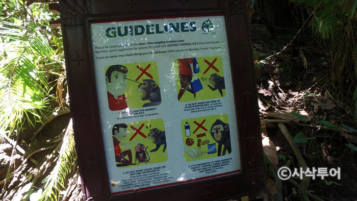 Sacred Monkey Forest Sanctuary — views and visitor photographs 5