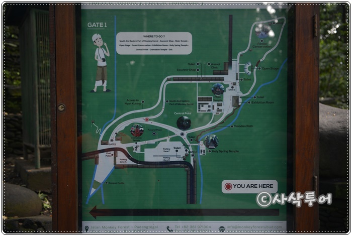 Sacred Monkey Forest Sanctuary — views and visitor photographs 6