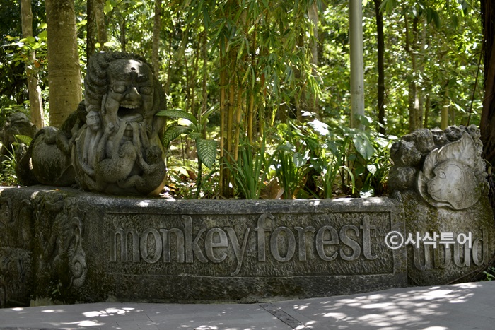 Sacred Monkey Forest Sanctuary — views and visitor photographs 8