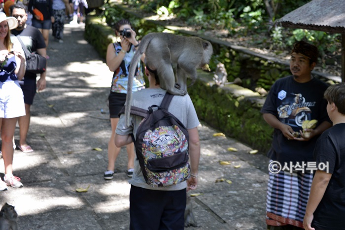 Sacred Monkey Forest Sanctuary — views and visitor photographs 10
