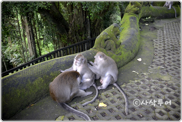 Sacred Monkey Forest Sanctuary — views and visitor photographs 18