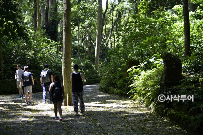 Sacred Monkey Forest Sanctuary — views and visitor photographs 19