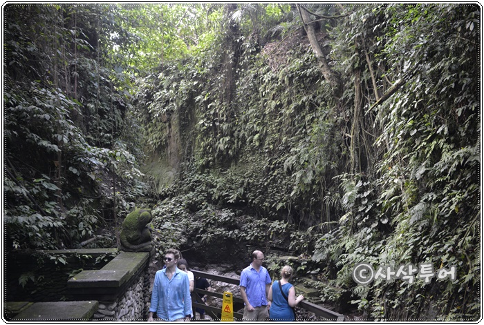 Sacred Monkey Forest Sanctuary — views and visitor photographs 20