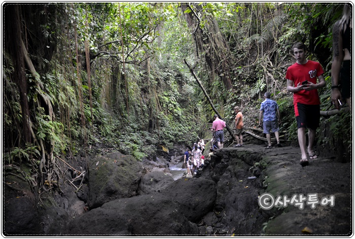 Sacred Monkey Forest Sanctuary — views and visitor photographs 22