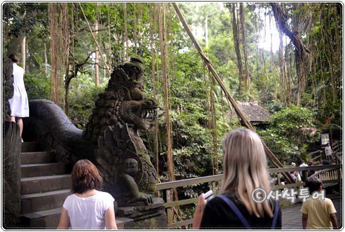 Sacred Monkey Forest Sanctuary — views and visitor photographs 23