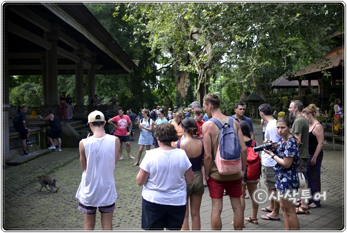Sacred Monkey Forest Sanctuary — views and visitor photographs 25