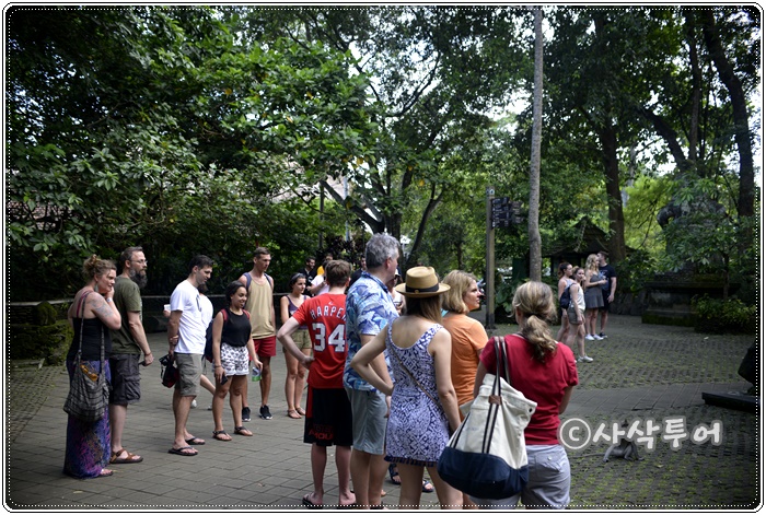 Sacred Monkey Forest Sanctuary — views and visitor photographs 26