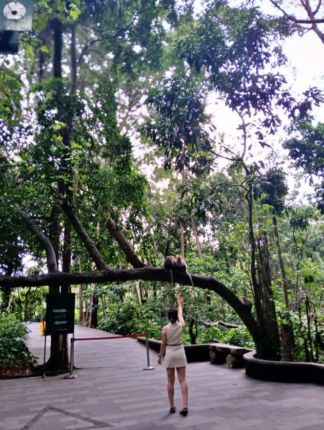 Sacred Monkey Forest Sanctuary — views and visitor photographs 27