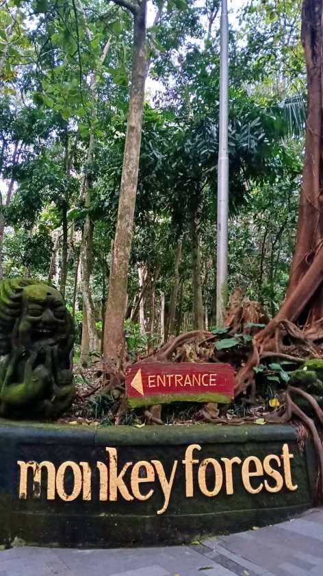 Sacred Monkey Forest Sanctuary — views and visitor photographs 30