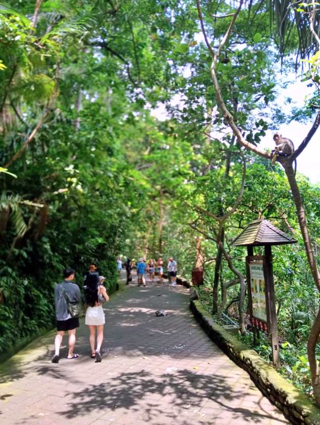 Sacred Monkey Forest Sanctuary — views and visitor photographs 34