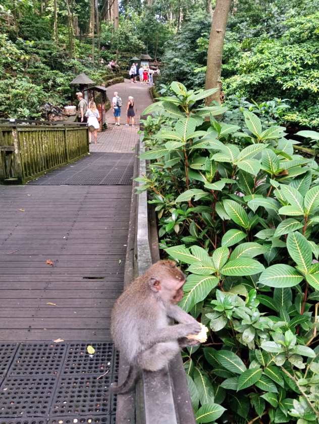 Sacred Monkey Forest Sanctuary — views and visitor photographs 36