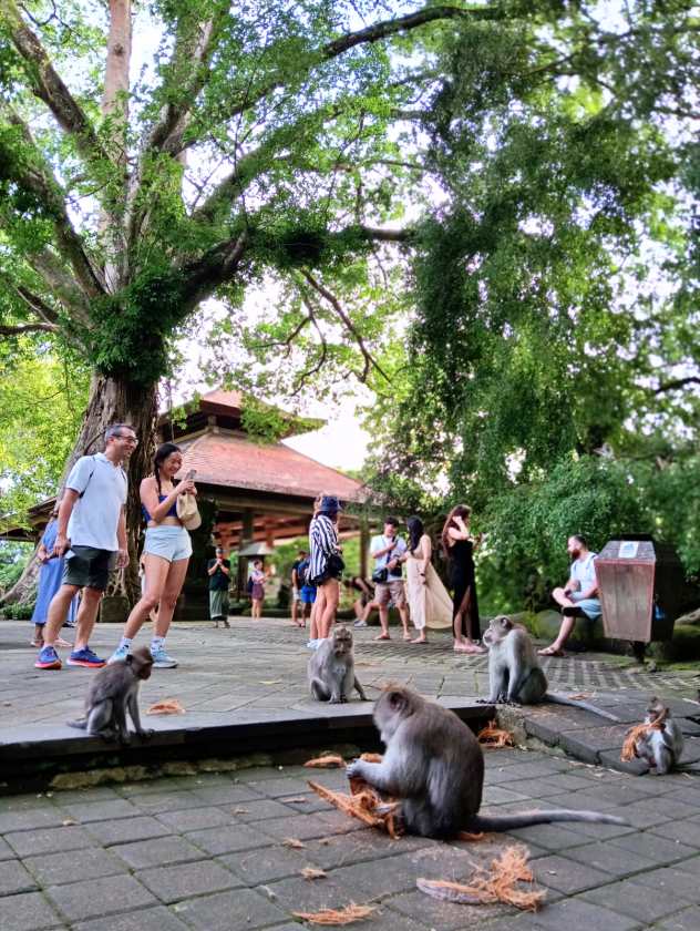 Sacred Monkey Forest Sanctuary — views and visitor photographs 38