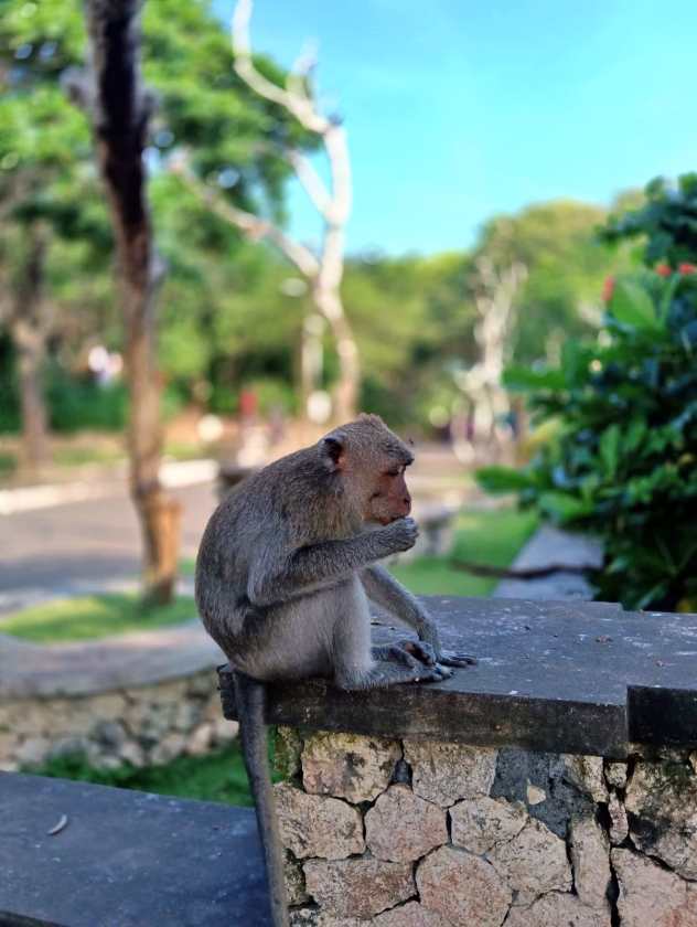 Sacred Monkey Forest Sanctuary — views and visitor photographs 39