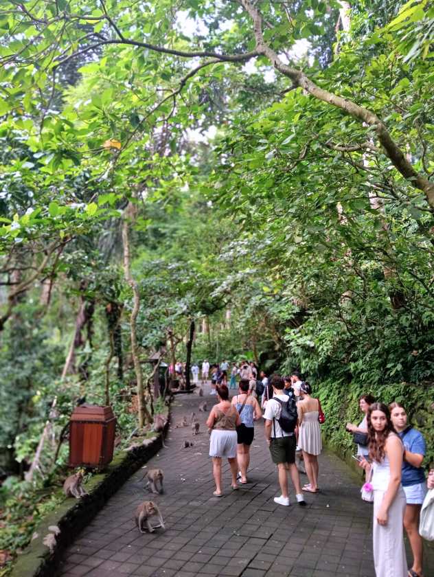 Sacred Monkey Forest Sanctuary — views and visitor photographs 43