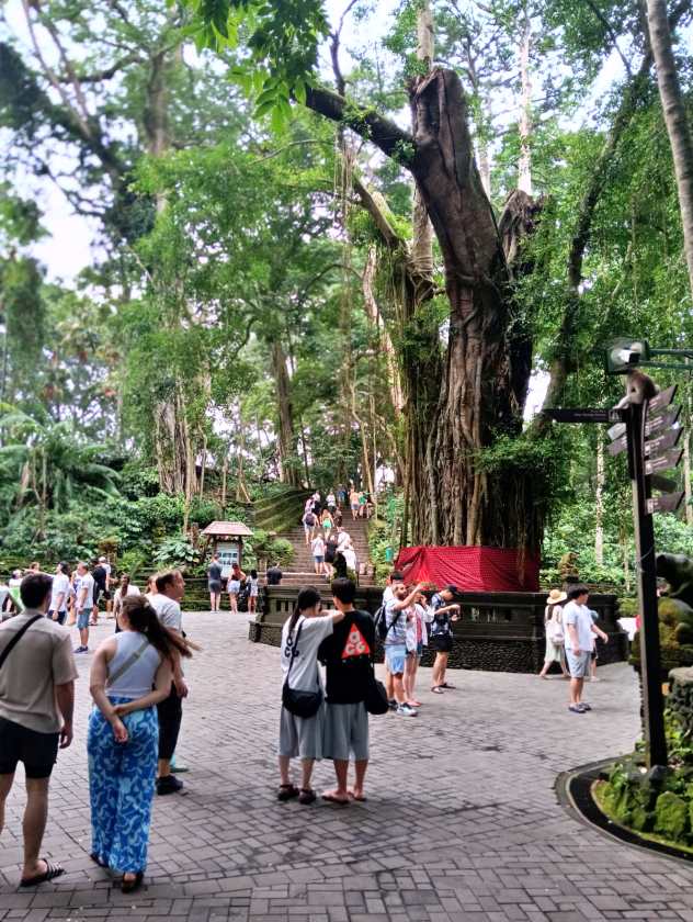 Sacred Monkey Forest Sanctuary — views and visitor photographs 44
