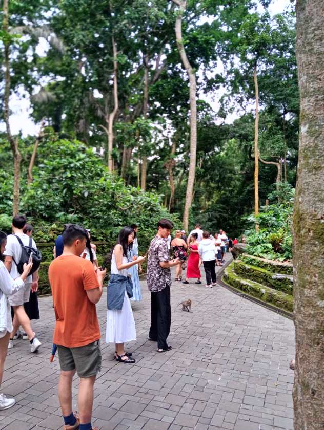 Sacred Monkey Forest Sanctuary — views and visitor photographs 45