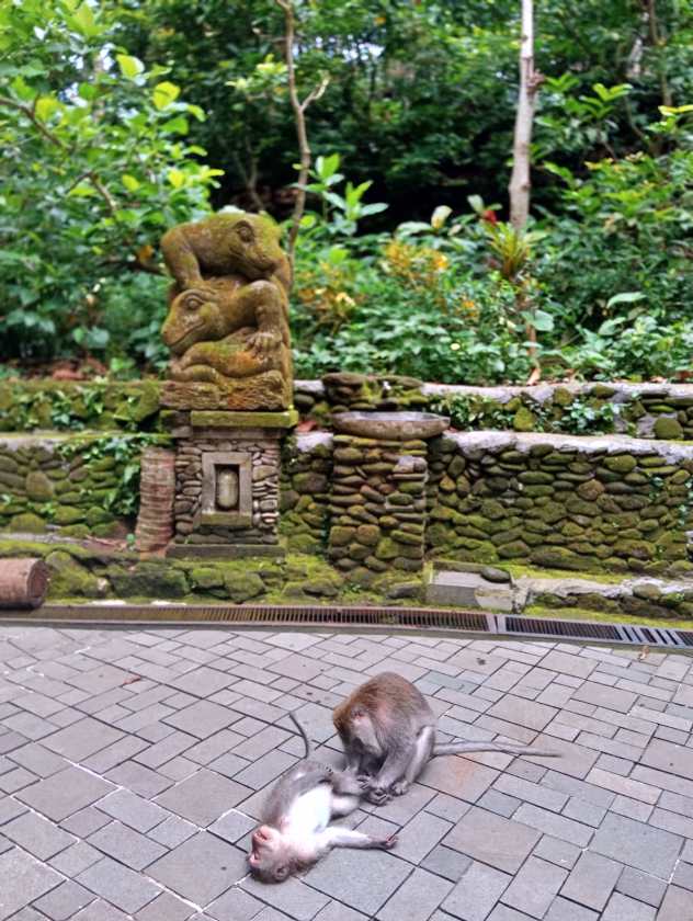 Sacred Monkey Forest Sanctuary — views and visitor photographs 47