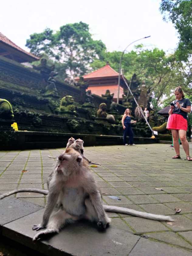 Sacred Monkey Forest Sanctuary — views and visitor photographs 48