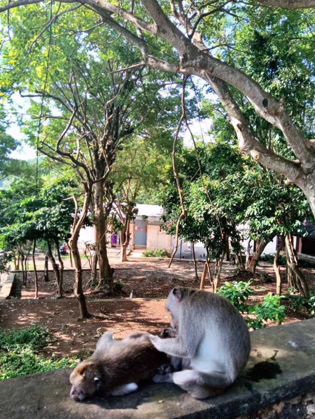 Sacred Monkey Forest Sanctuary — views and visitor photographs 50