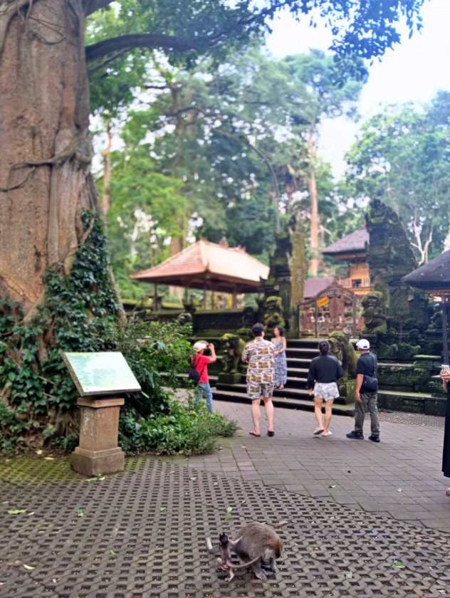 Sacred Monkey Forest Sanctuary — views and visitor photographs 51