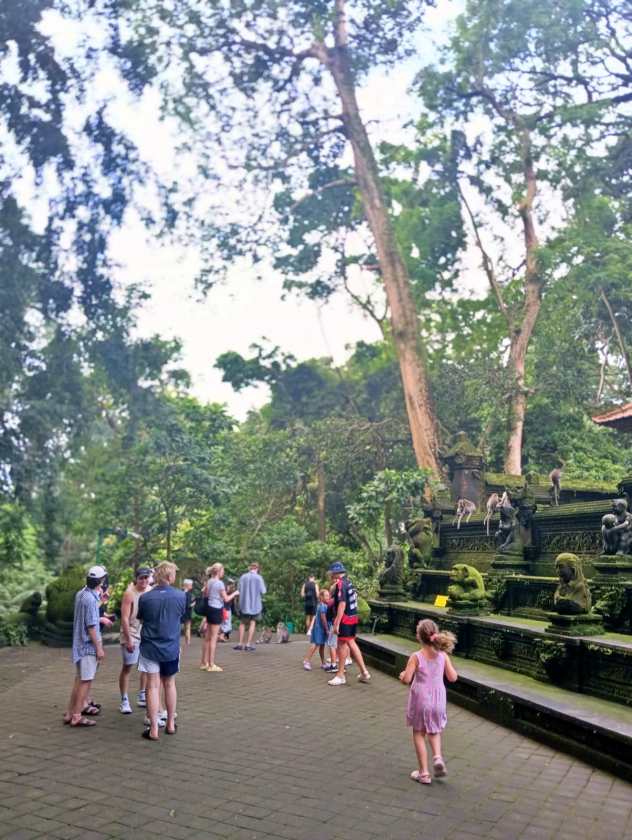 Sacred Monkey Forest Sanctuary — views and visitor photographs 53