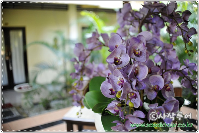 Bali Orchid Spa — spa facilities and archive information 17