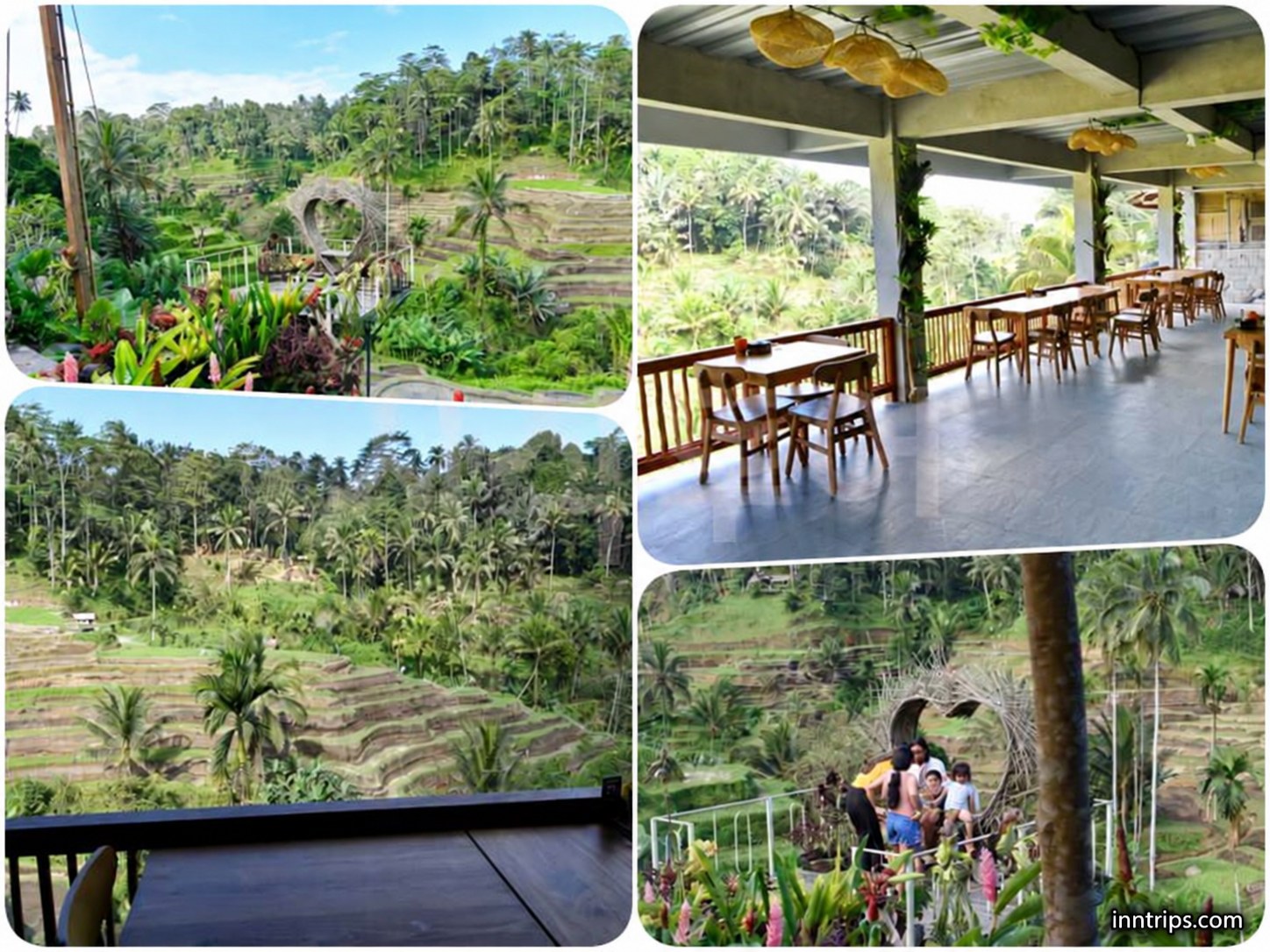 Rice terrace landscape in Bali