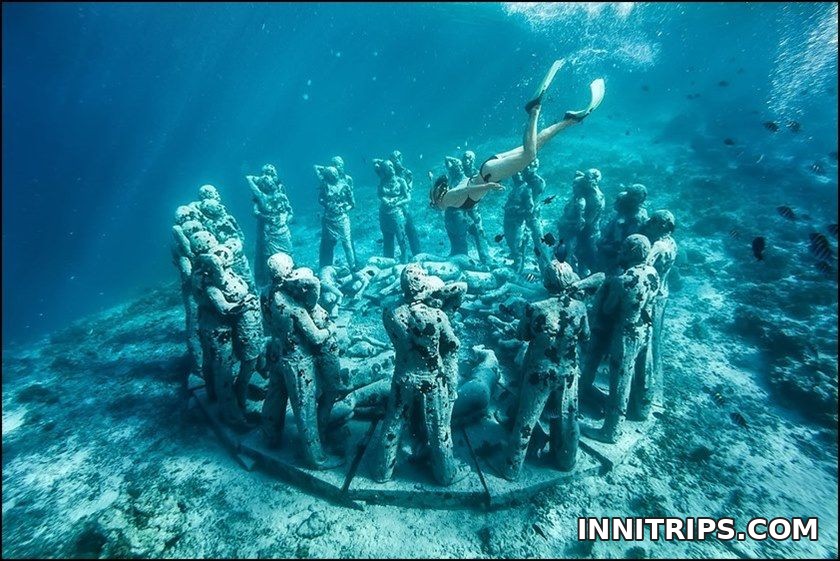 Guided snorkeling and marine life · Gili cruise photo 15