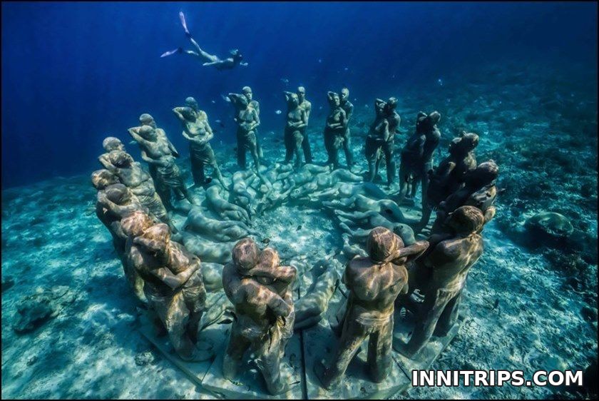 Guided snorkeling and marine life · Gili cruise photo 17