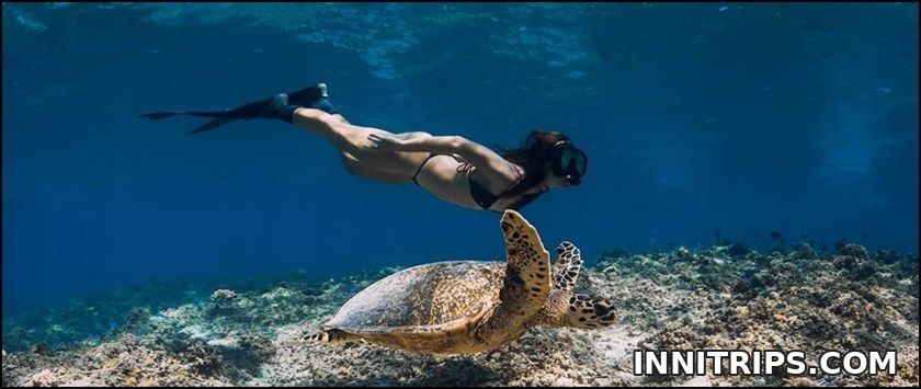 Guided snorkeling and marine life · Gili cruise photo 18