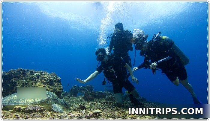 First guided dive around the Gili Islands — photo 2