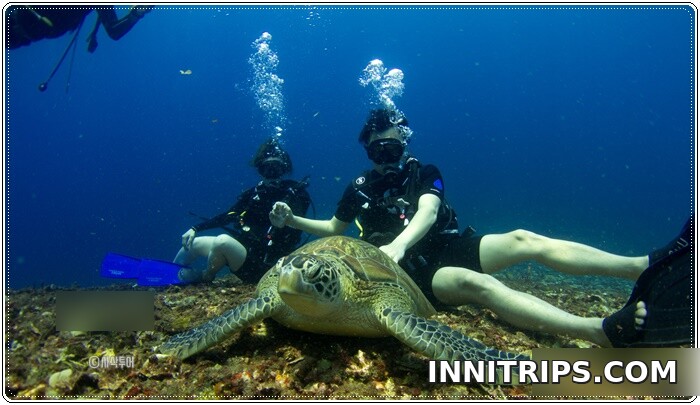 First guided dive around the Gili Islands — photo 3
