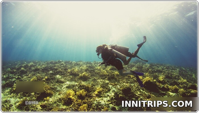 First guided dive around the Gili Islands — photo 4