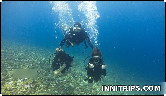 First guided dive around the Gili Islands — photo 5