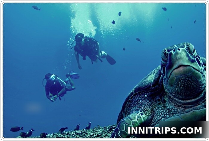 Second guided scuba dive — photo 1