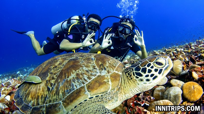 Gili introductory scuba diving — photo 4