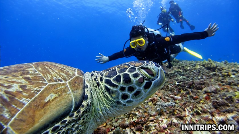 Gili introductory scuba diving — photo 5