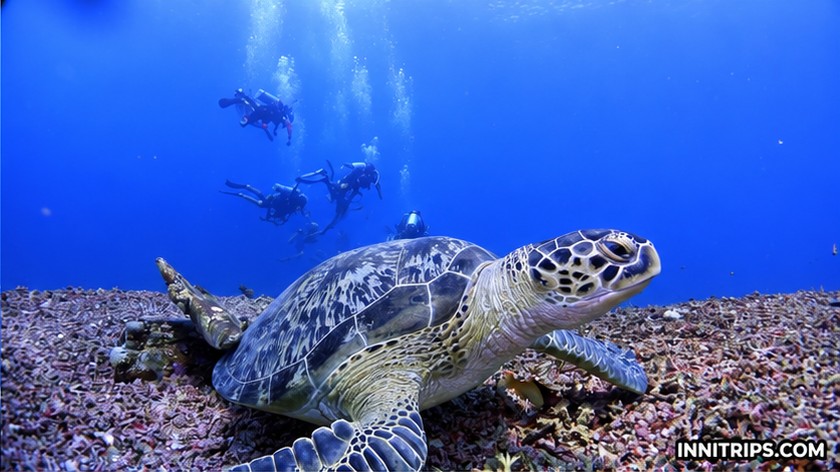 Gili introductory scuba diving — photo 10