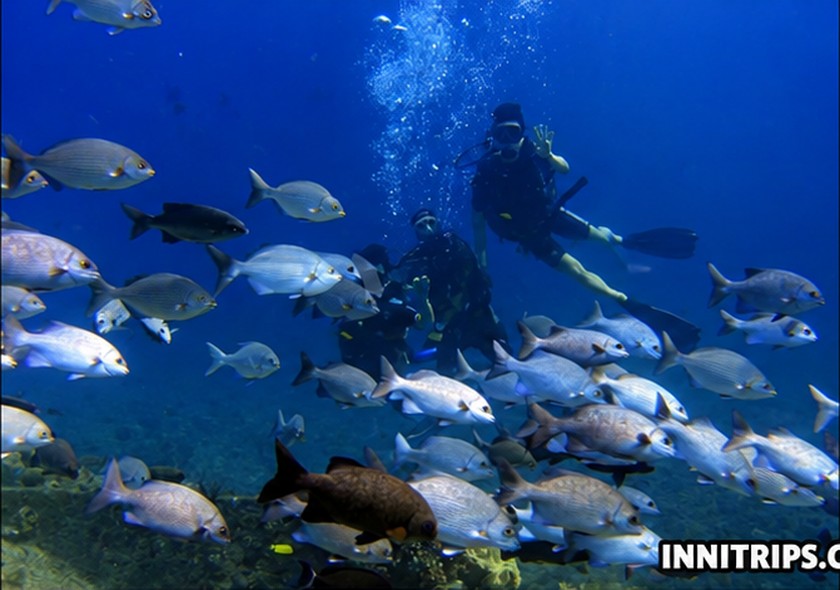 Gili introductory scuba diving — photo 13