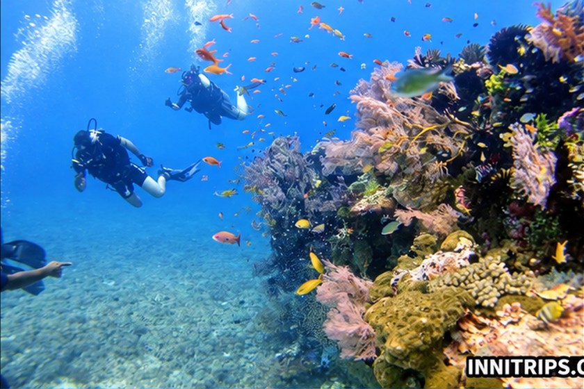 Gili introductory scuba diving — photo 15