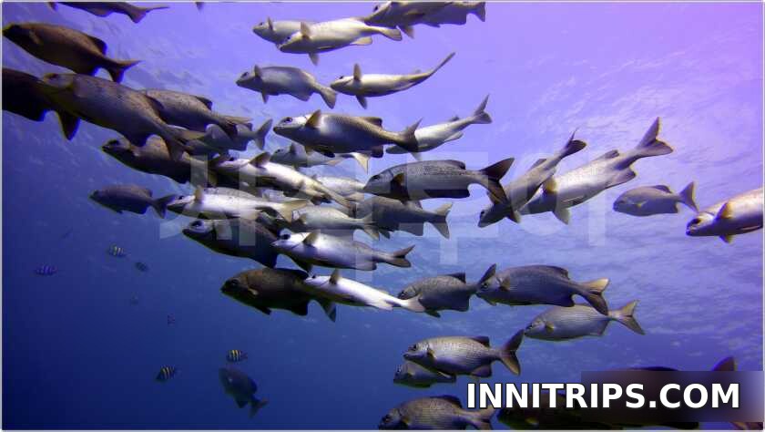 Gili introductory scuba diving — photo 17